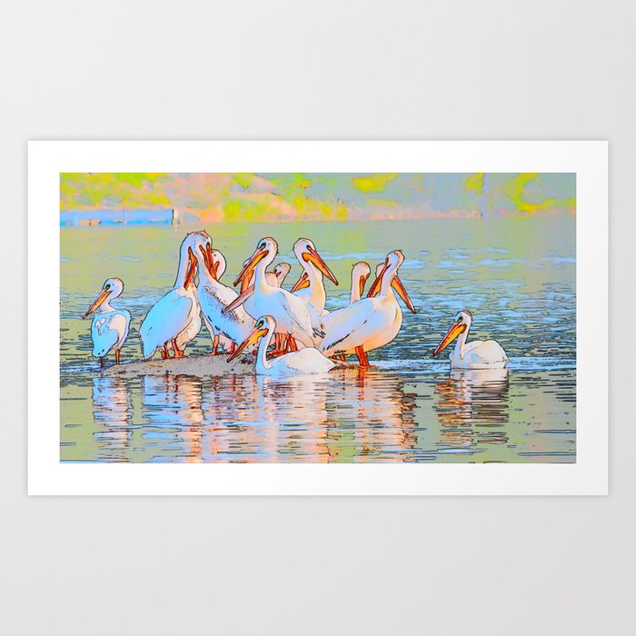 White Pelicans Art Print