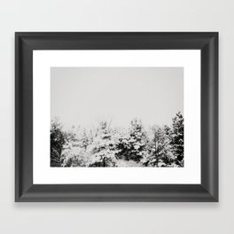 Winter Grey Framed Art Print