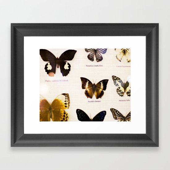 Forever Beautiful Butterfly Framed Art Print