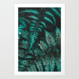 Green Fern Art Print | Green, Leaves, Plants, Leaf, Plant, Photo, Nature, Ferns, Fern, Botanitcal 