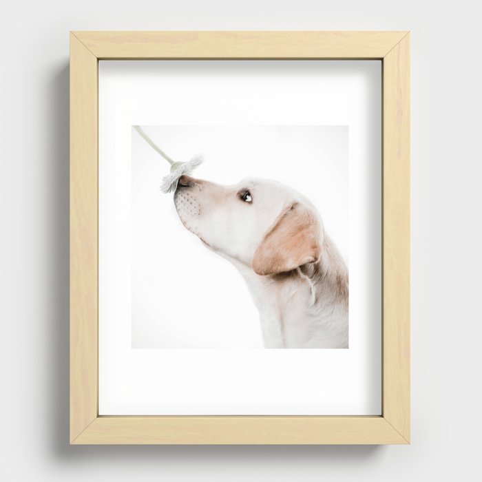 smell this Recessed Framed Print