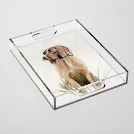 English Springer Spaniel Art Acrylic Tray