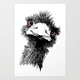 Emu - Pen and Ink Art Print
