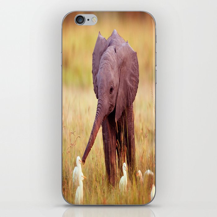 Birds of a Feather iPhone Skin