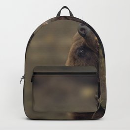 Grizzly Attacking A Tree Backpack