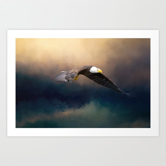 Painting flying american bald eagle Art Print