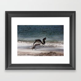 Birds in flight Framed Art Print