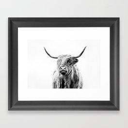portrait of a highland cow (horizontal) Gerahmter Kunstdruck