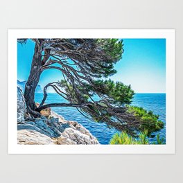 Calanques near Cassis in a summer day Art Print