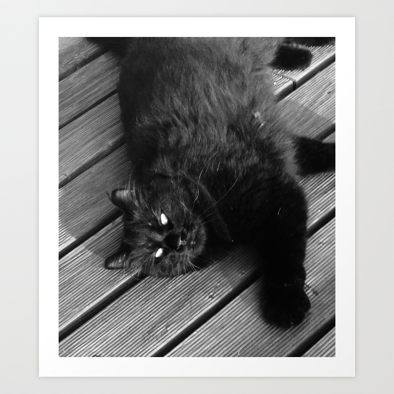 Black Cat Called Nero Art Print By Art Elisa Society6