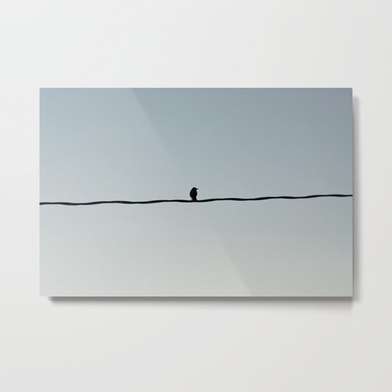 Bird Line Metal Print
