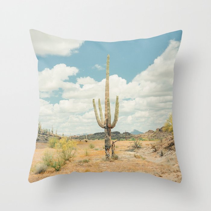 Old West Arizona Throw Pillow