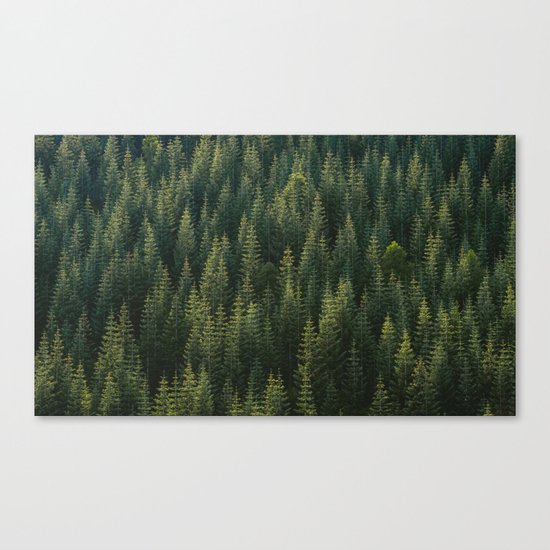 Evergreen #woods Canvas Print