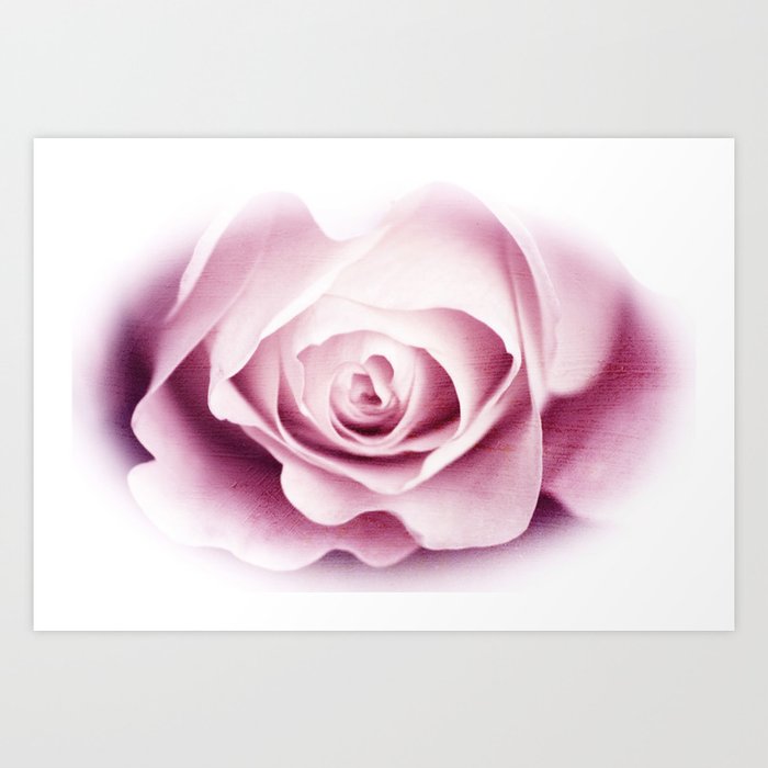 Dusty Rose Art Print