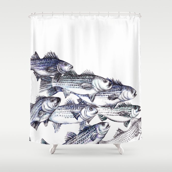 Old School Striped Bass Shower Curtain