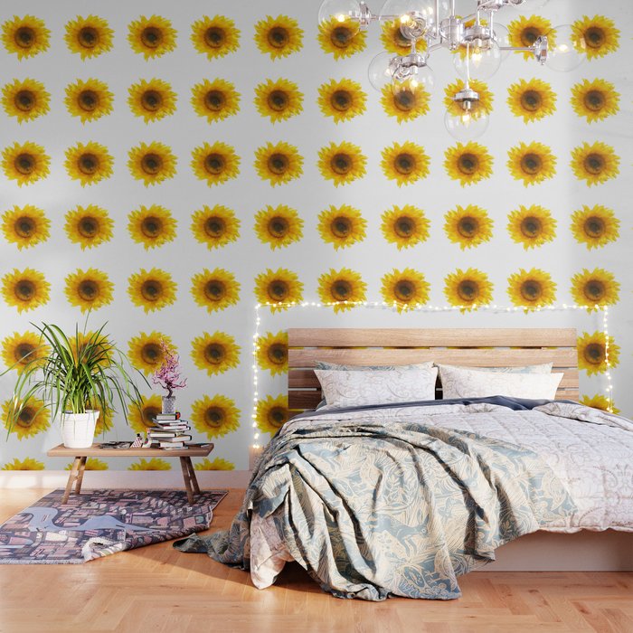 yellow sunflower Wallpaper