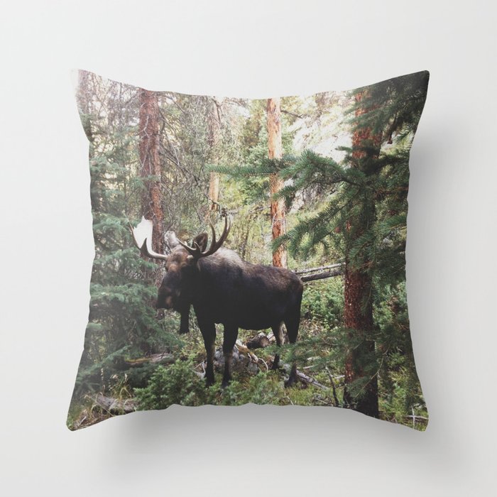 Throw Pillow