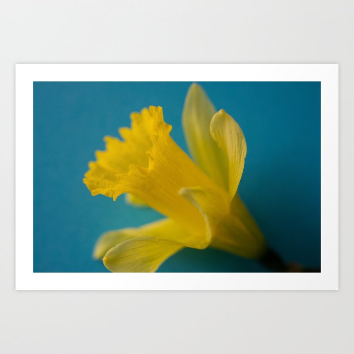 Yellow and Blue Art Print