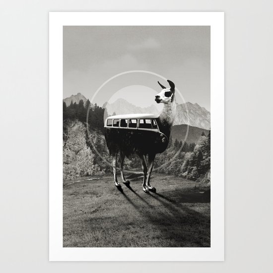 Llama B&W Art Print