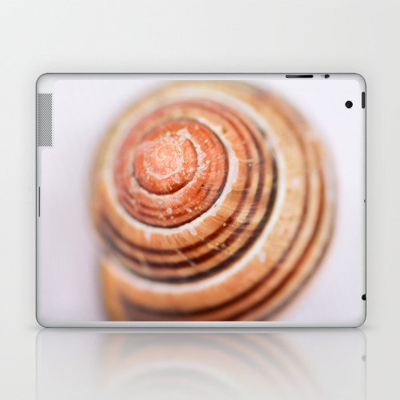 Snail Shell Laptop & iPad Skin