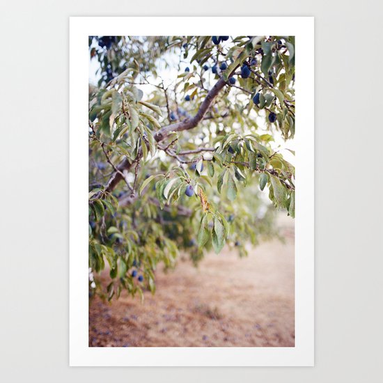 PLUM FARM Art Print