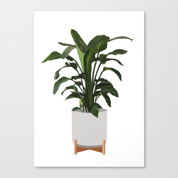 Plant Pot Canvas Print