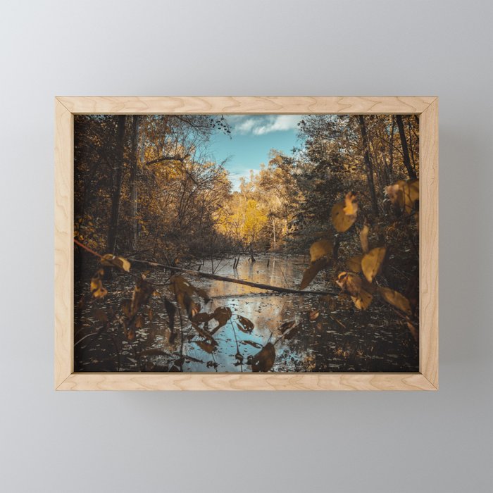 Quiet Creek. Photograph Framed Mini Art Print