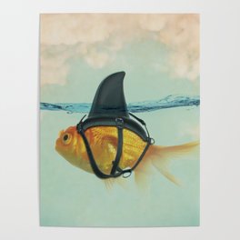 Goldfish with a Shark Fin Poster