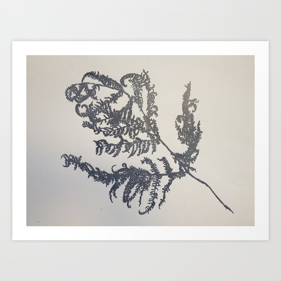 Ferns Art Print
