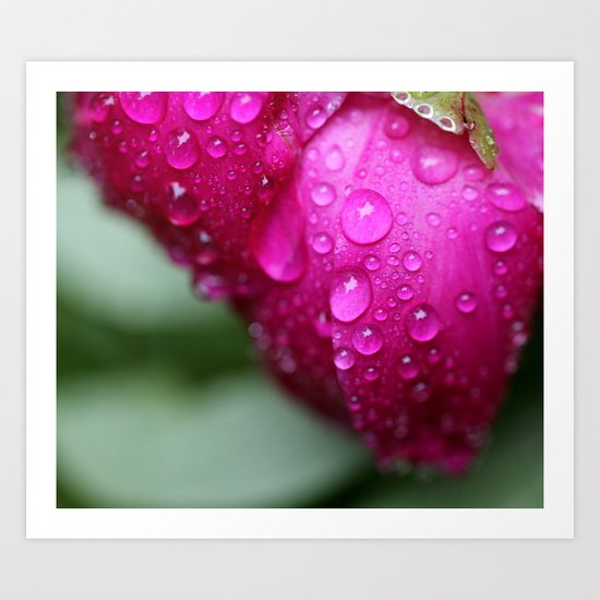 After the Rain in Pink Art Print