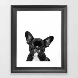 Black and White French Bulldog Framed Art Print