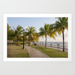 Caribbean Ocean Palms Park Virgin Islands Art Print