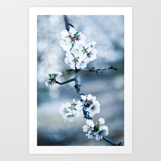 Blossoms Art Print