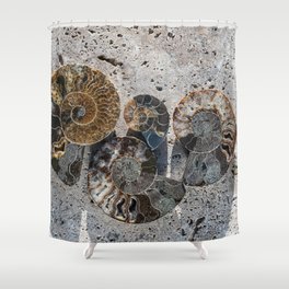 Fossil Ammonite  Shower Curtain