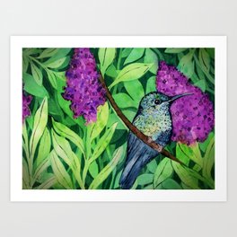 Hummingbird and lilacs  Art Print