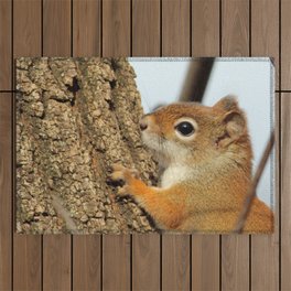 Baby Red Squirrel Close Up Outdoor Rug