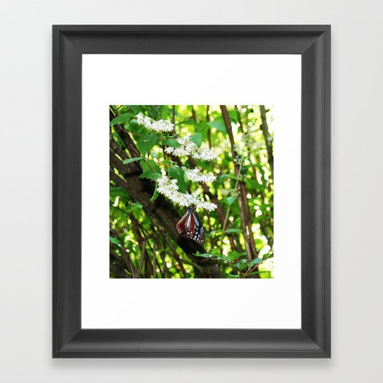 Japanese Butterfly Framed Art Print