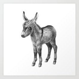 Donkey baby g21-012 Art Print | Graphite, Chalk Charcoal, Child, Baby, Cute, Funny, Foal, Horse, Schukina, Donkey 