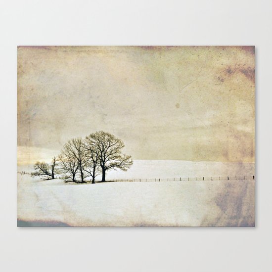 Solitude Canvas Print
