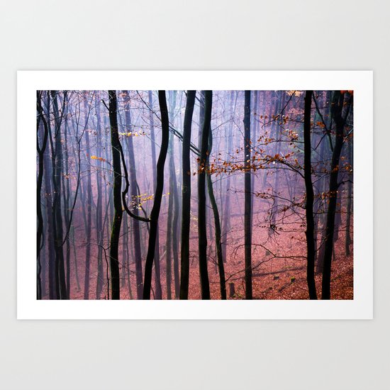 Foggy fall forest photography Art Print