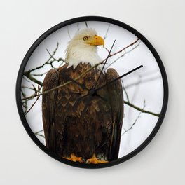Bold Eagle Wall Clock