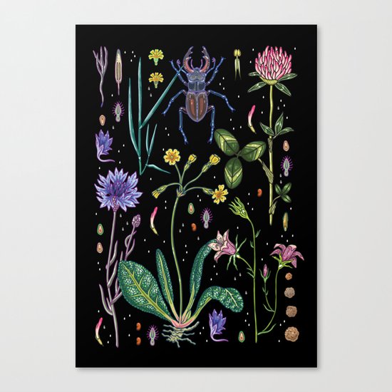 Midsummer Night's Dream Canvas Print