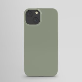 Desert Green iPhone Case