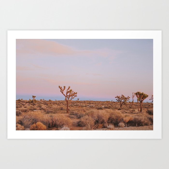 Desert Sunset XII / Joshua Tree, California Art Print