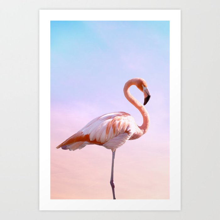Flamingo and Unicorn Sky | Flamingo Photography | Ocean | Beach | Travel | Tropical | Landscape Art Print