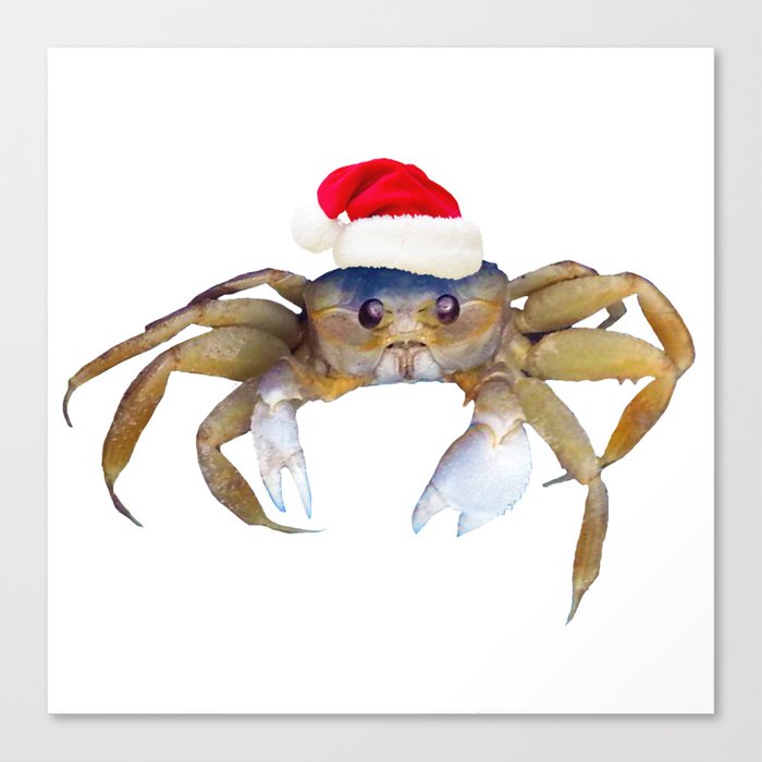 Crabby Christmas Canvas Print