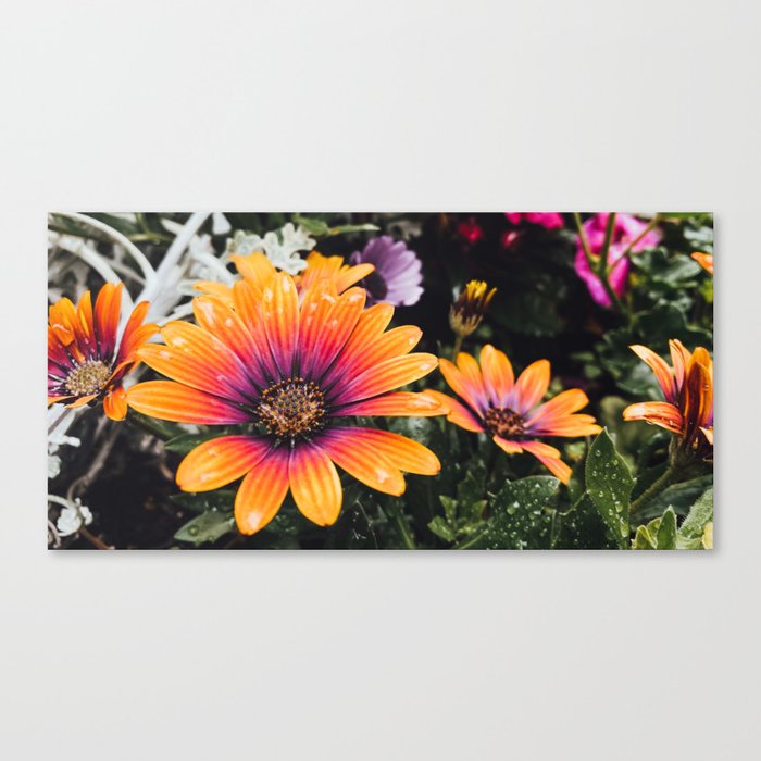 Flowerpower Canvas Print
