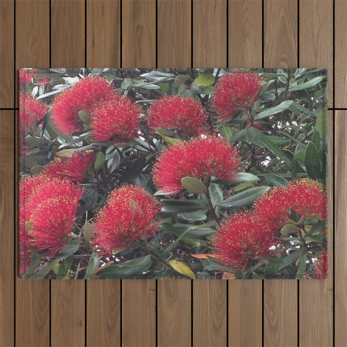 Pohutukawa, Kiwi Christmas tree Outdoor Rug