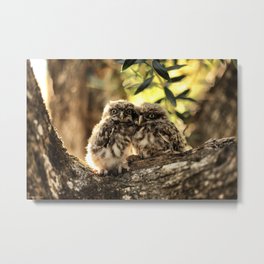 Owls Metal Print