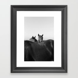 Wild Horses in Black and White Framed Art Print